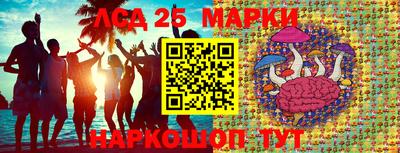 spice Новозыбков