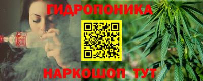 молекула духа Новокубанск